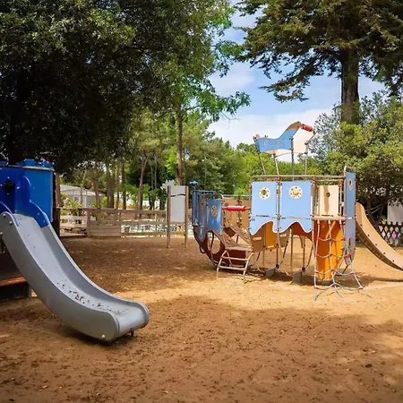 Mobile 477 Bois Dormant